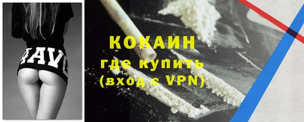 крисы Дмитриев