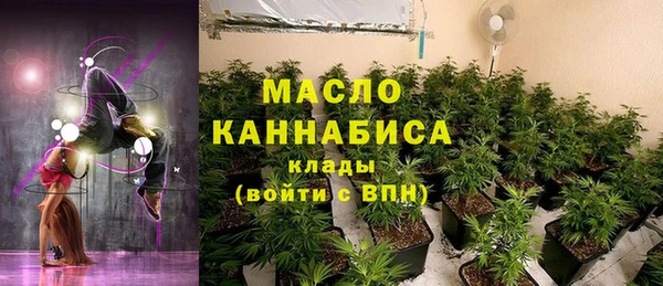 мет Ельня