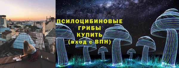 мет Ельня