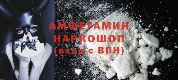 мет Ельня