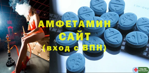 мет Ельня