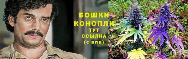 крисы Дмитриев