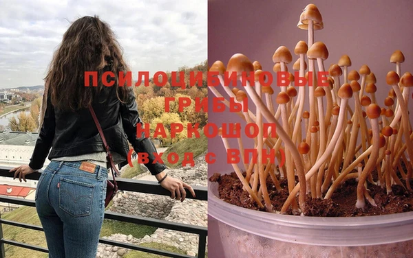 jwh Дмитров