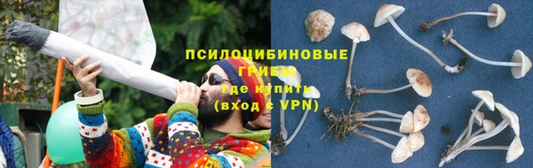 крисы Дмитриев