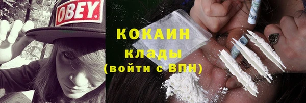мет Ельня