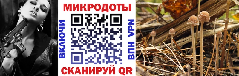 OMG зеркало  Новочебоксарск  Галлюциногенные грибы прущие грибы 